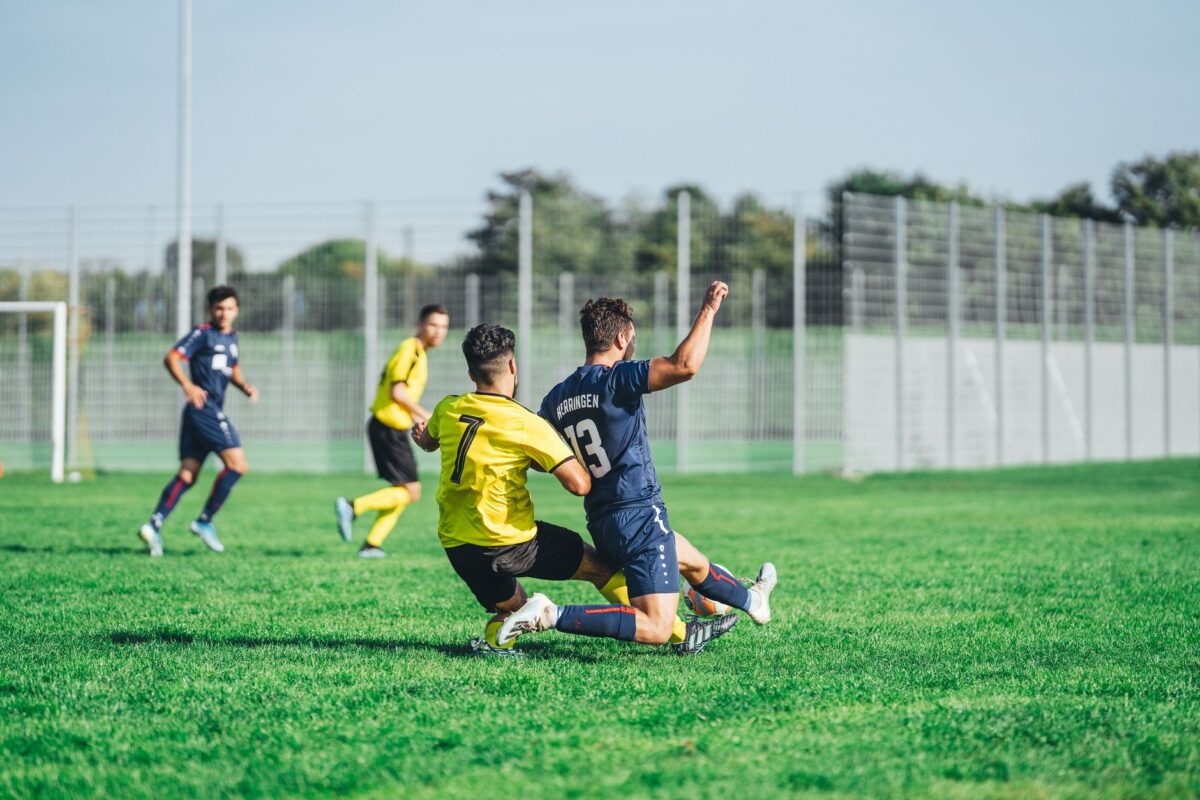 pronostic gimcrack ouest plan décision appliquer